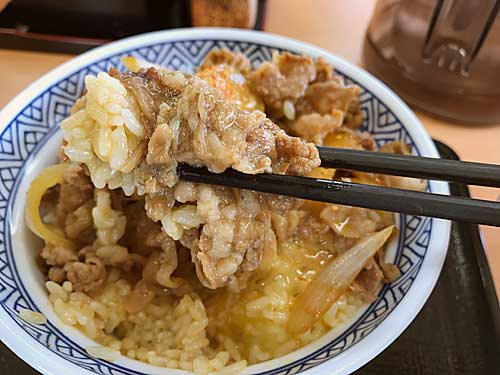 牛丼のごはんと肉