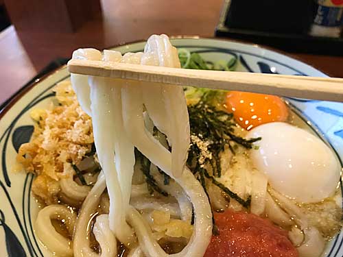 丸亀製麺の麺
