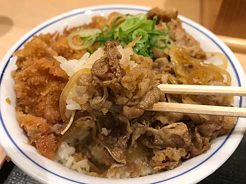 牛肉とチキンカツとごはん