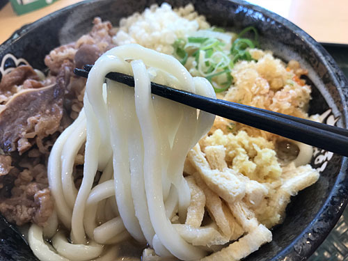 はなまるうどんの麺