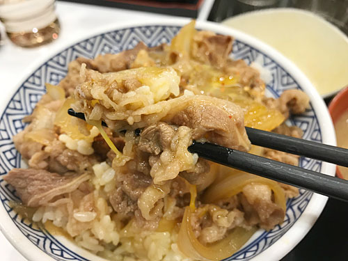 牛丼の牛肉とごはん