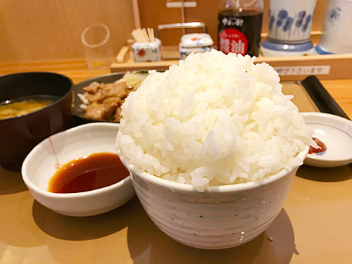 てんこ盛りごはん