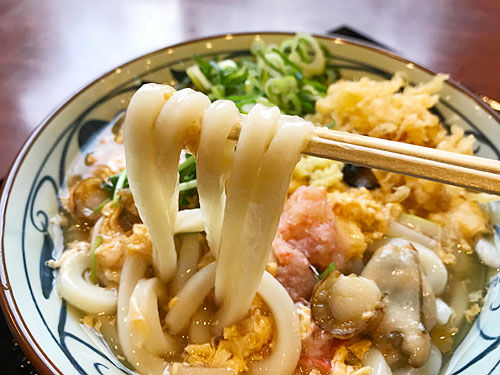 丸亀製麺の自家製太麺