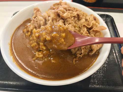 カリガリ肉だく牛カレーのルーとライス