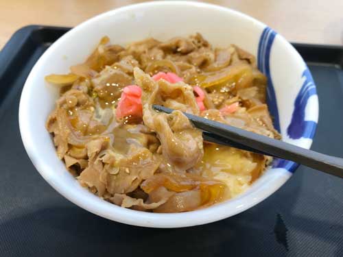 豚めしの豚肉