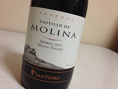 Castillo De Molina Shiraz 2010 ラベル