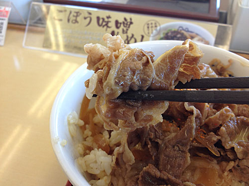 牛丼のお肉とごはん