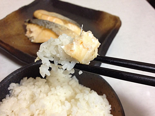 時鮭切り身をごはんと