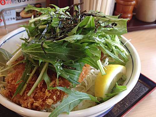 塩カツ丼登場