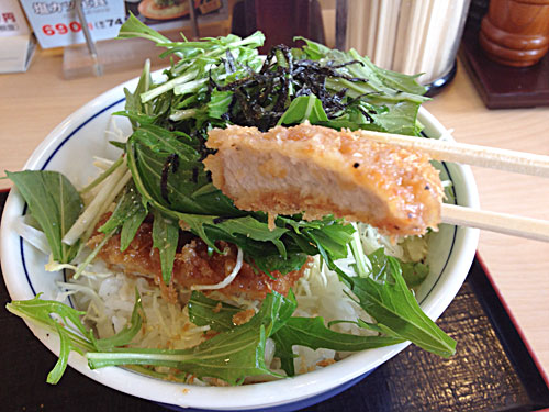 塩カツ丼のカツを一切れ
