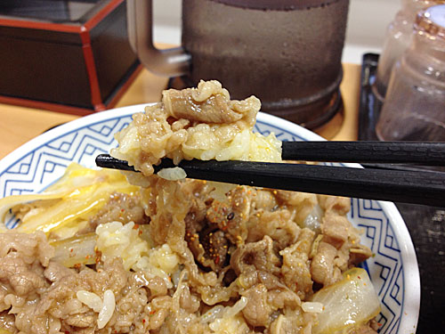牛丼のお肉とごはん