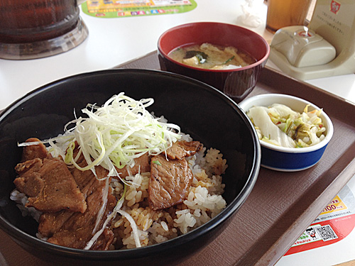 すき家　炭火豚丼　アップ