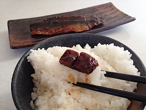 鰊とごはん