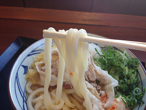 丸亀製麺　うどん