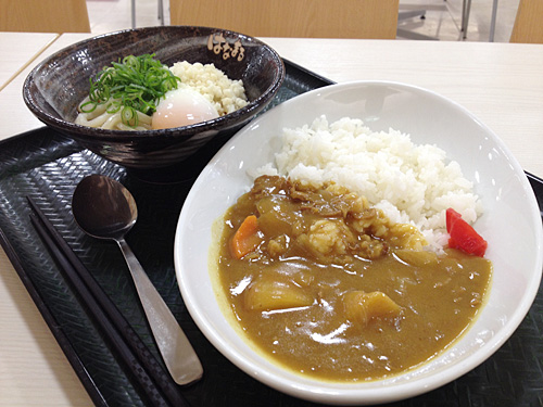 はなまるうどん　温玉ぶっかけ＋カレー　アップ