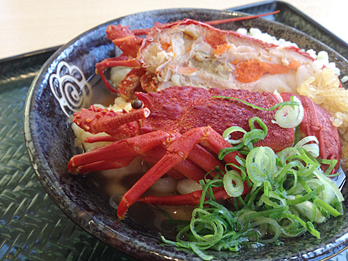 はなまるうどん　まるごと伊勢海老うどん　アップ