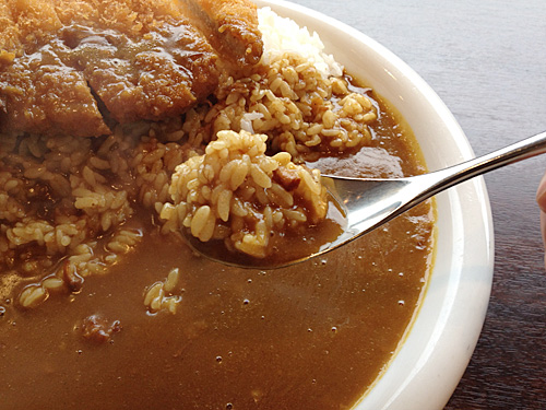 ロースカツカレーのルーとライス