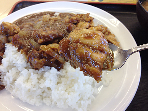 ごろごろチキンカレーの鶏肉