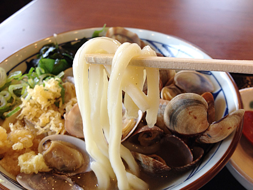 丸亀製麺のうどん