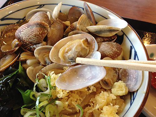 あさりバターうどんの貝