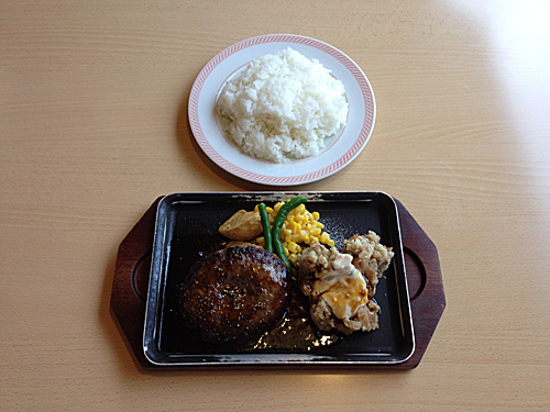 Joyfull　ペッパーハンバーグ＆若どり南蛮