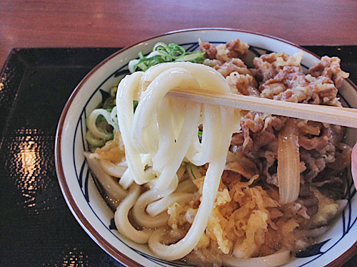 丸亀製麺のうどん