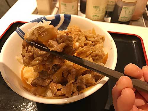 牛めしの牛肉とごはん