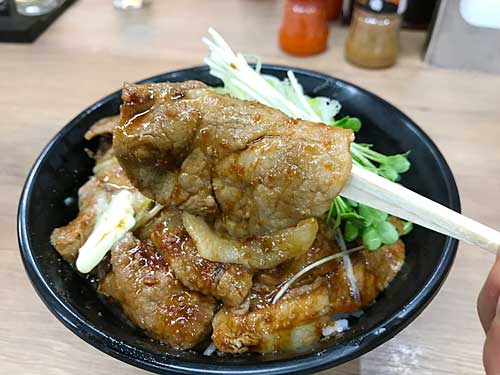 北海道のすた丼の肉