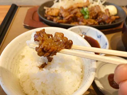お肉とごはん
