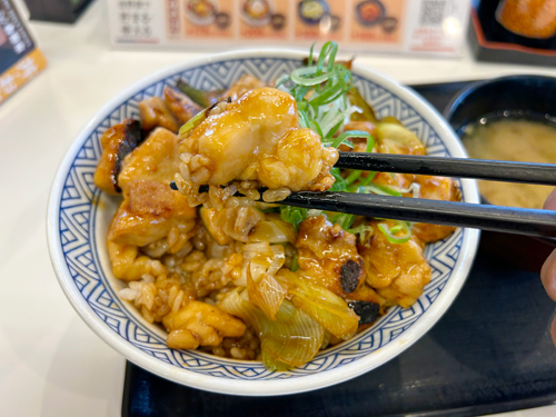 焦がしねぎ焼き鳥丼の具とごはん