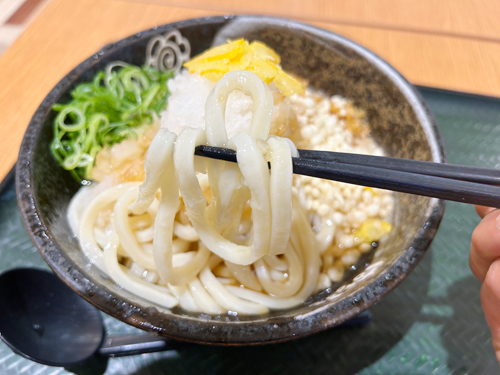 はなまるうどん　麺
