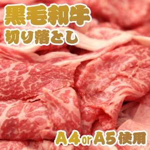 参考画像2