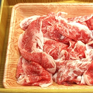 参考画像4