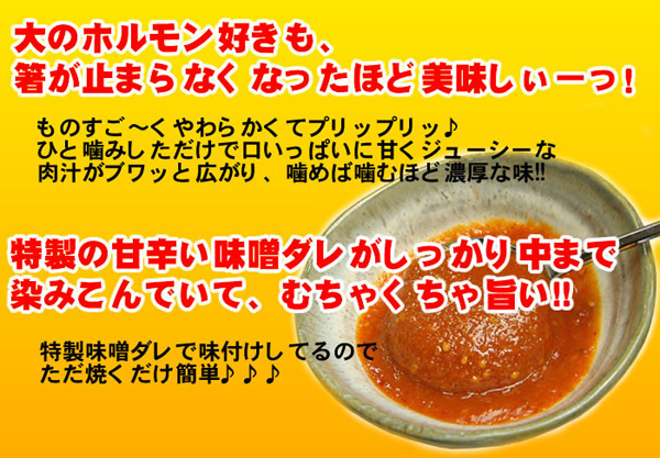 大のホルモン好きも、箸が止まらなくなったほど美味しぃーっ！