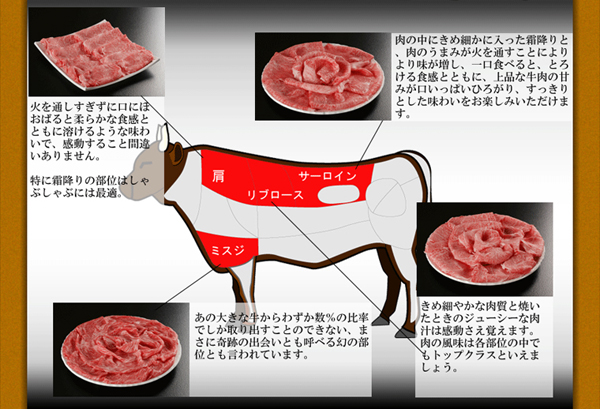 松坂牛の部位図