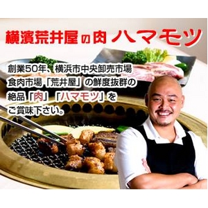 参考画像2
