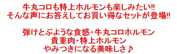 お買い得なセットが登場！！