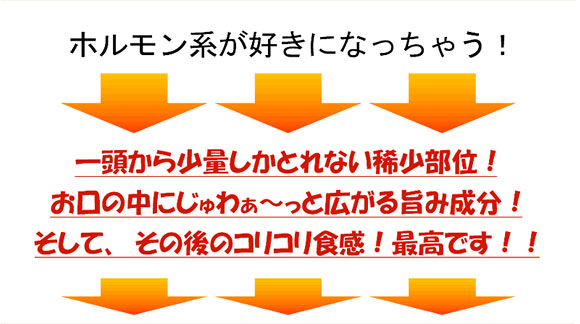 ホルモン系が好きになっちゃう！
