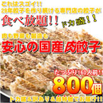 安心の国産餃子800個 160人前