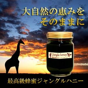 参考画像4
