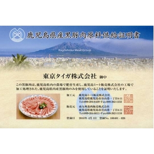参考画像4