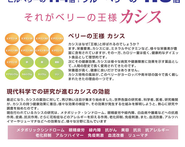 ベリーの王様カシス