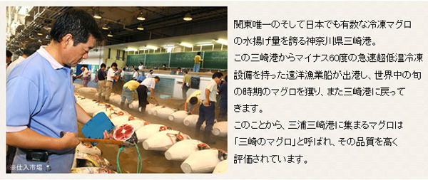 神奈川県三崎港