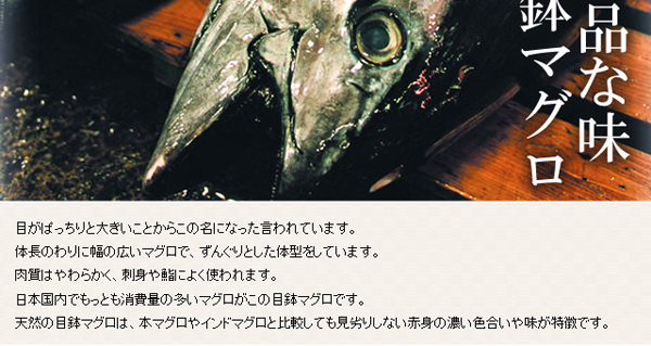 目鉢マグロ