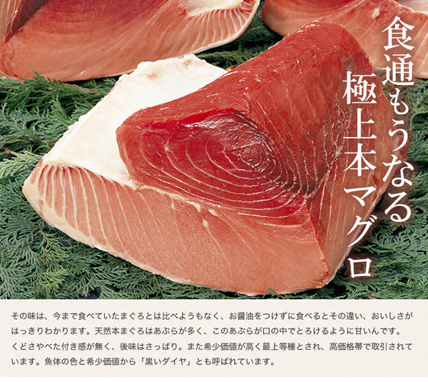 食通もうなる極上本マグロ