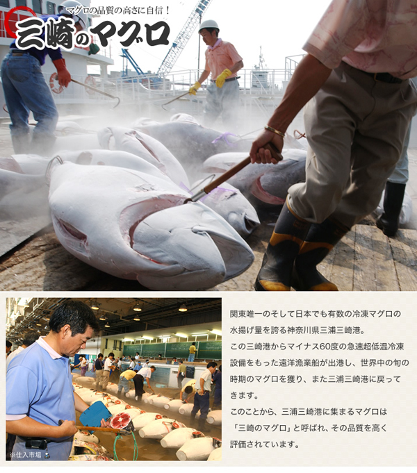 マグロの品質の高さに自信！三崎のマグロ