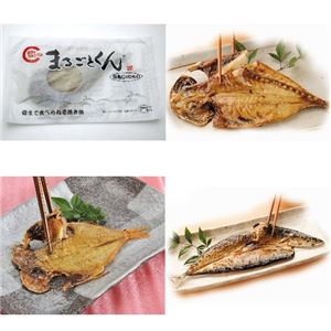 まるごとくん 4種セット 32枚
