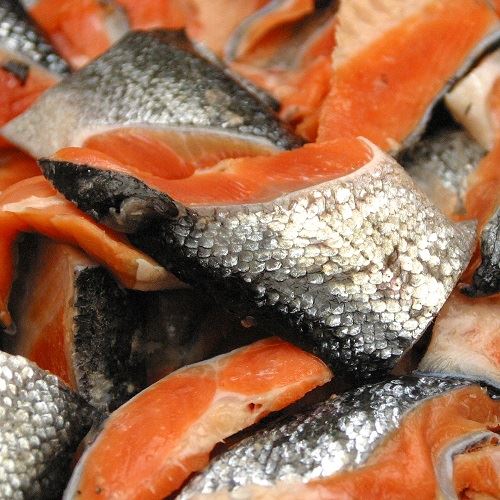 銀鮭切り落とし　サンプル