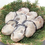 広島県産!2Lサイズ特大牡蠣
