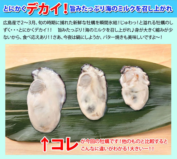 とにかくデカイ！旨みたっぷり海のミルクを召し上がれ